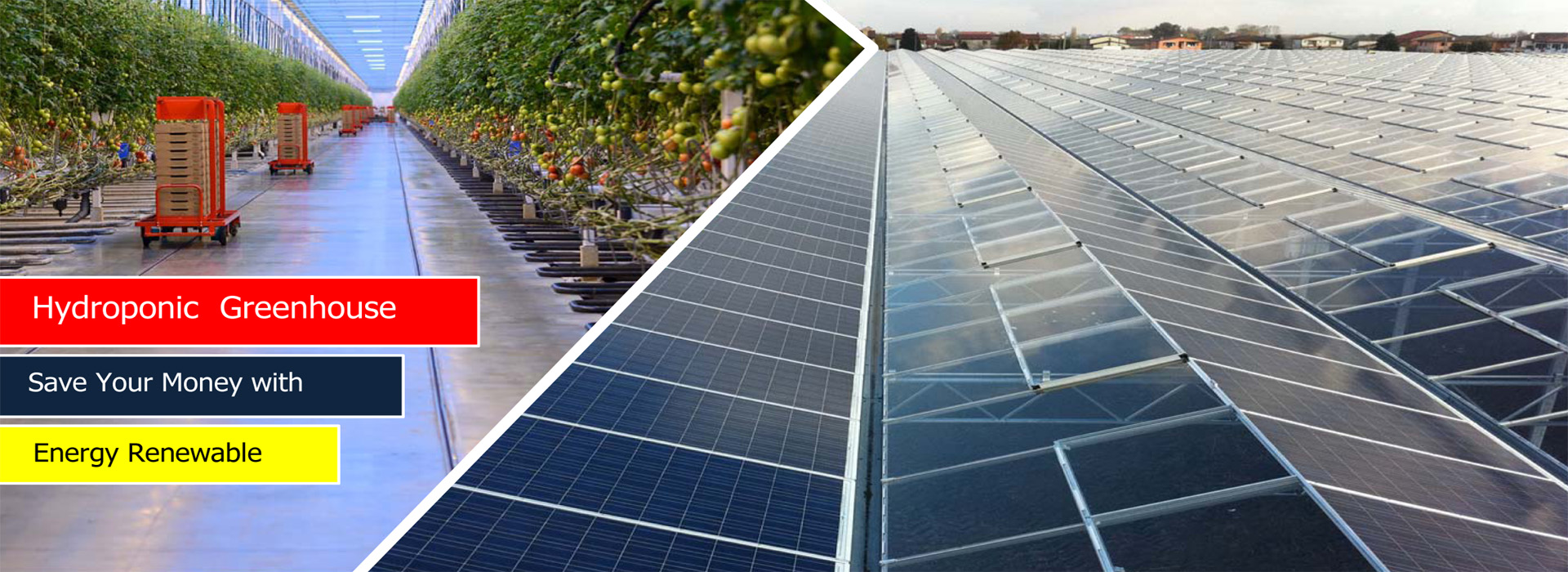 Energy Renewable Hydroponic Greenhouse  ITC Ltd 