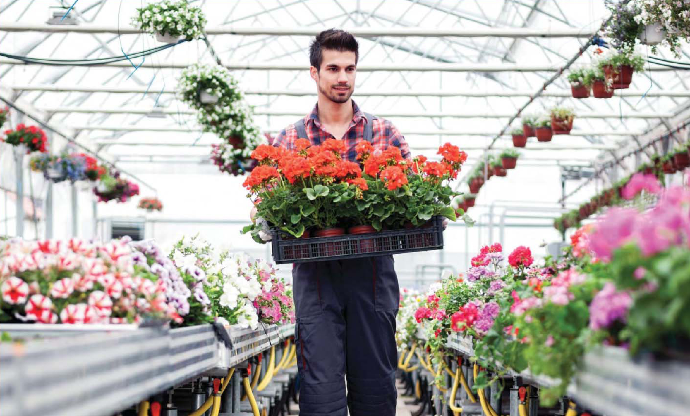 Floricolture Hydroponic Greenhouse  ITC Ltd