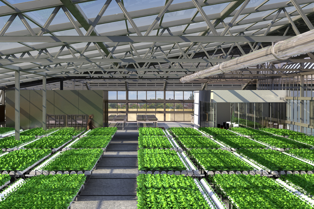Structure Hydroponic Greenhouse 1  ITC Ltd 